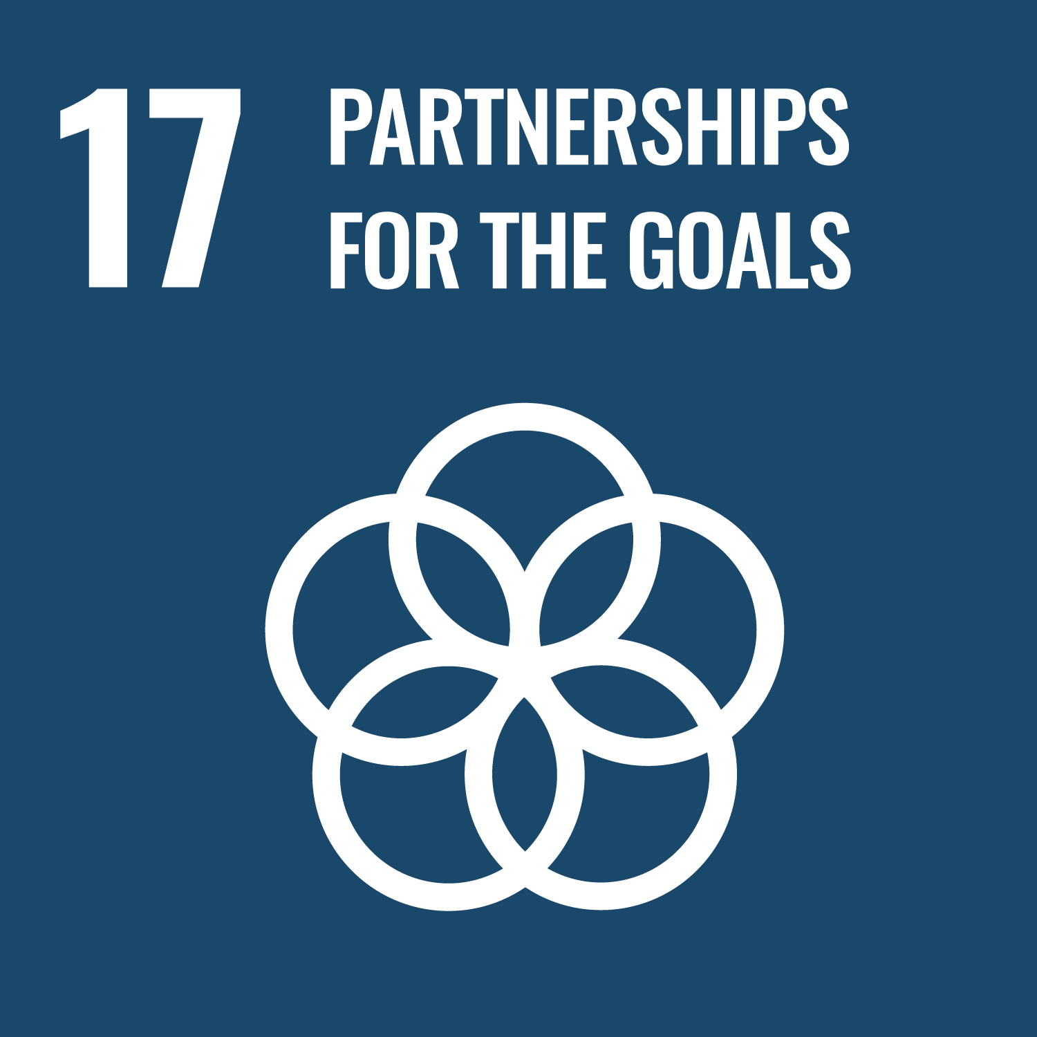 SDG 17 Partnerships for the Goals icon